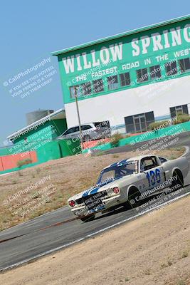 media/May-07-2022-Cobra Owners Club of America (Sat) [[e681d2ddb7]]/White/Session 1 (Turn 4)/